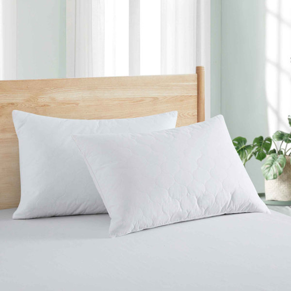Alwyn Home Firm Down Blend Bed Pillow & Reviews Wayfair